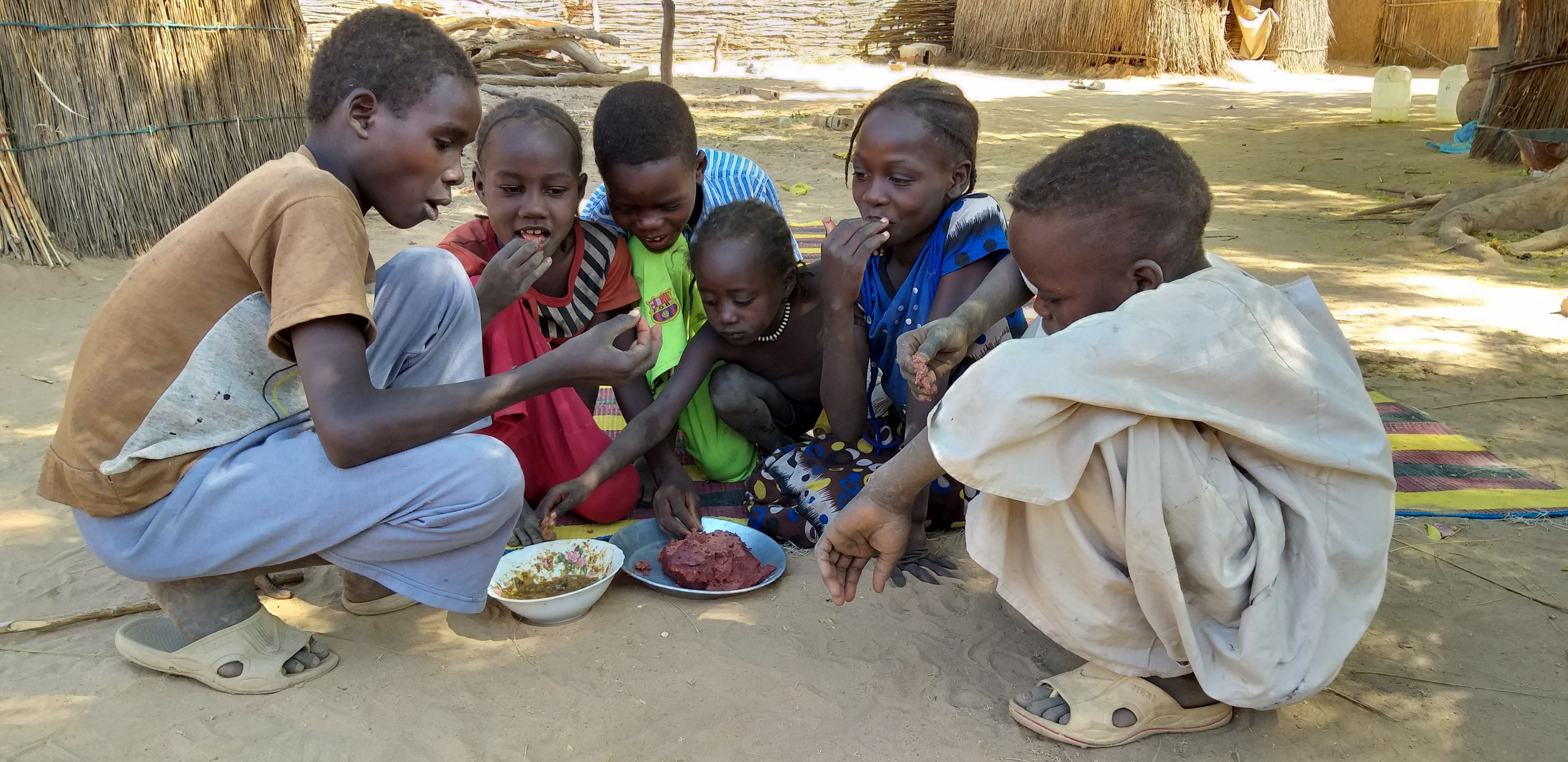 World Food Programme