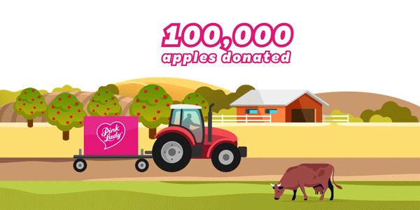 CORE01 1246 Pink Lady Fare Share Infographic