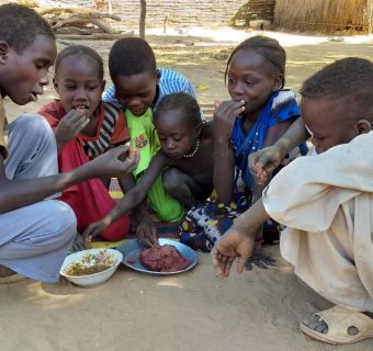 Worldwide storytelling with Pink Lady® and the United Nations World Food Programme