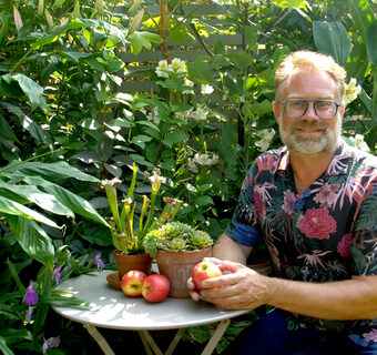 The Frustrated Gardener