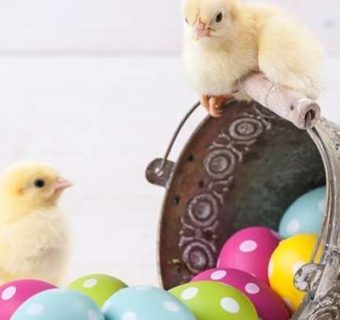 Who is the real Easter Bunny?
